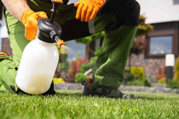 Best Flea Control Services  in Slaton, TX