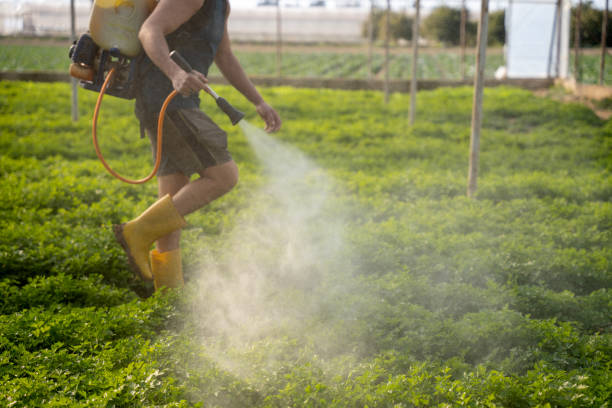 Slaton, TX Pest Control Company