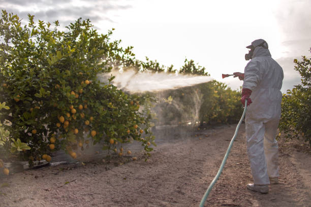 Best Affordable Pest Control Services  in Slaton, TX