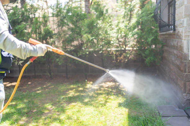 Bird Control in Slaton, TX