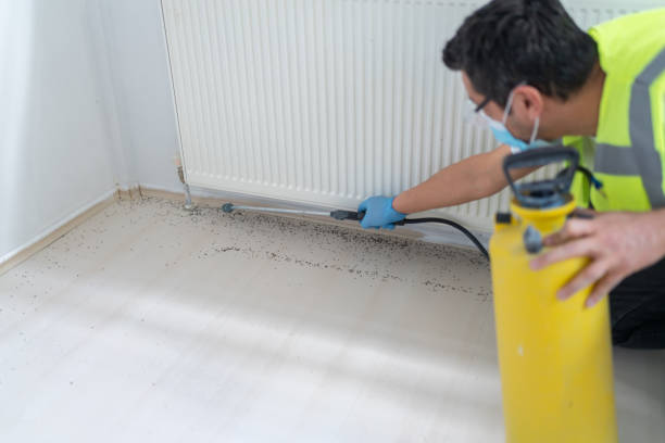 Best Pest Control Treatment  in Slaton, TX