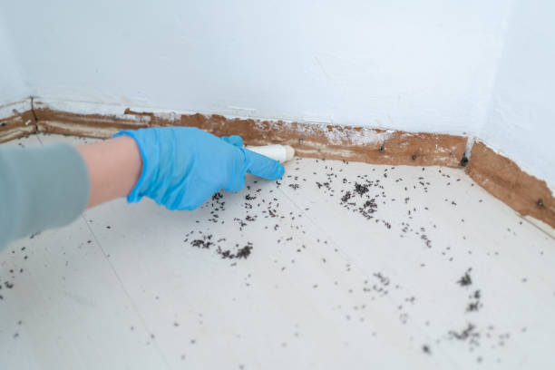 Best Pest Removal Services  in Slaton, TX